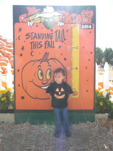 3 feet high